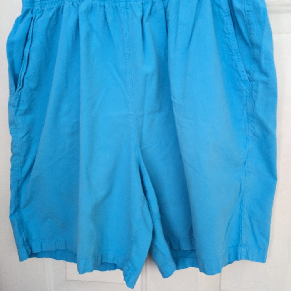 Women's shorts, Alyssa Brook II, size 2x